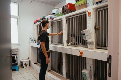 Salle d’hospitalisation